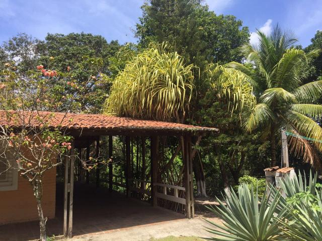 Granja pium - Foto 16