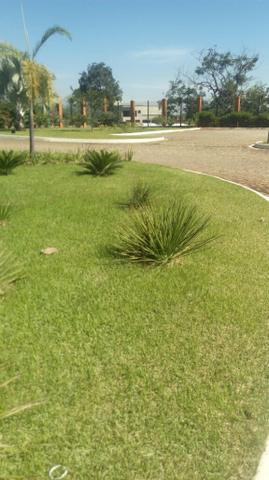 Lote Portal do Sol Green