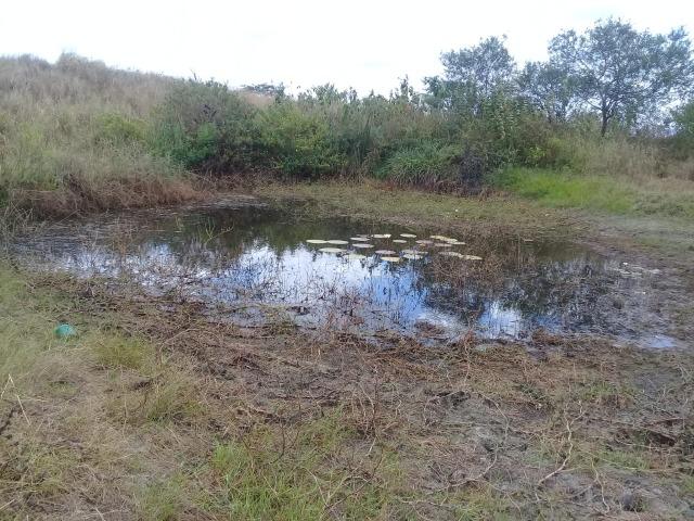 Pombos-Vend. 480 mil reais-Tem 120 Hect. Fazenda Completa,Água,Pastos, e mais