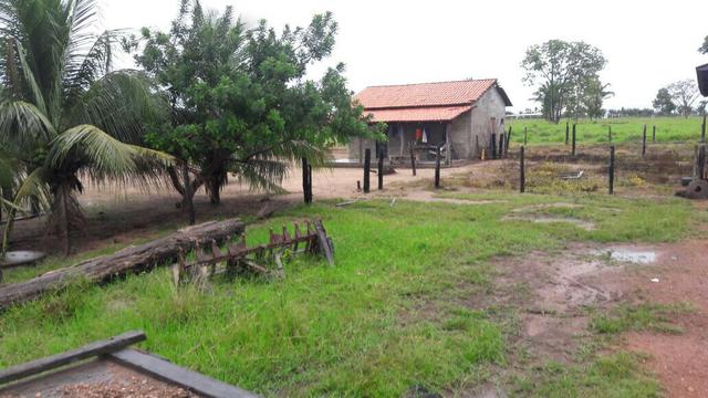 Fazenda no Pará - Foto 3