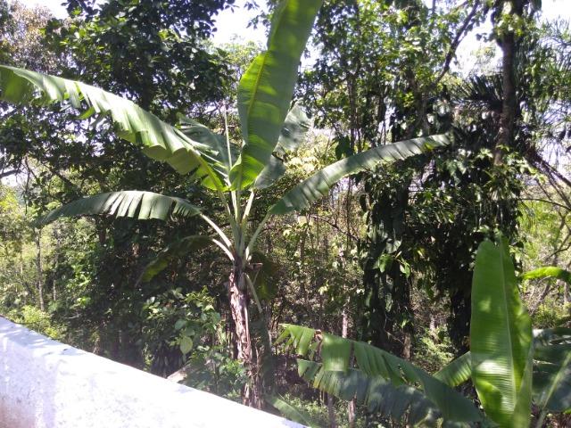 Chácara em Arujá - Foto 2