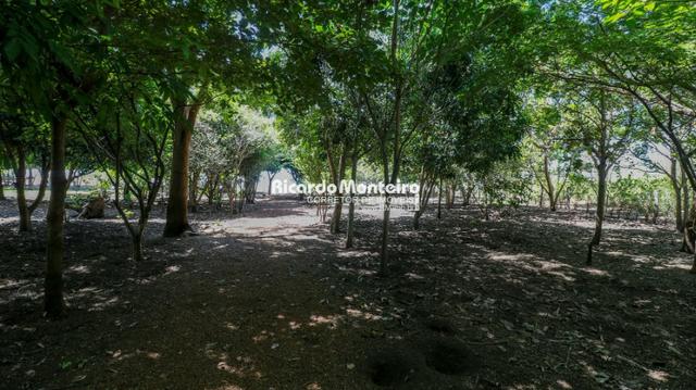 Chácara na beira do lago, pronta para morar a 22km do centro de Palmas - Foto 15