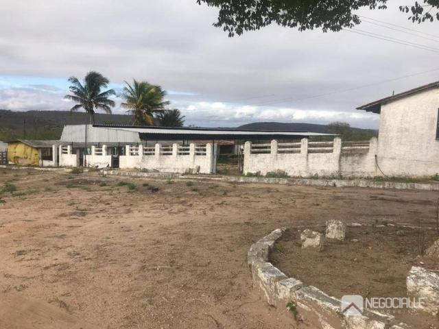 Excelente granja em são josé da mata (10 hectares) - Foto 8
