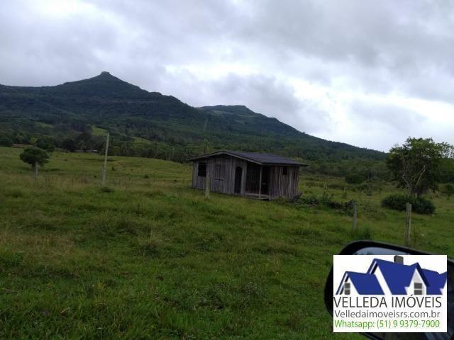 Velleda of. Fazenda 189 hectare, especial p/ gado, açudes, casa , maquiné - Foto 6