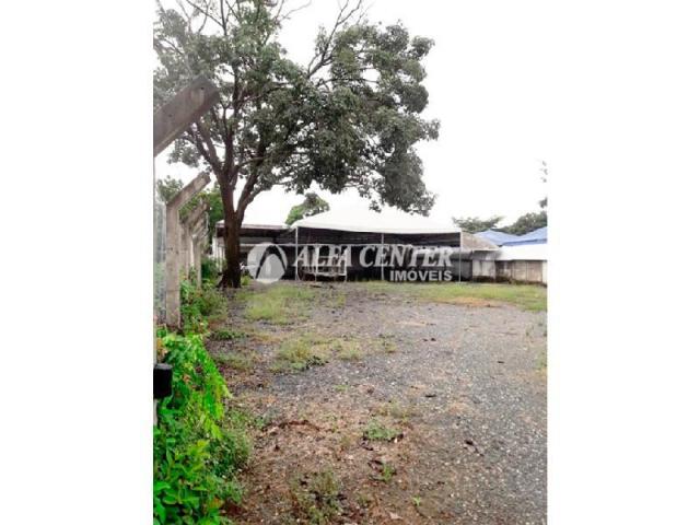 Área para alugar, 1000 m² por r$ 2.000/mês - setor castelo branco - goiânia/go - Foto 6