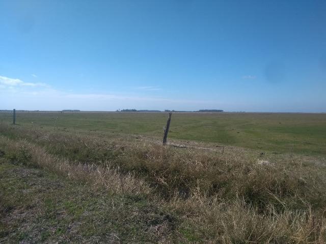 Área de terra 154 ha em Mostardas-Rs - Foto 10