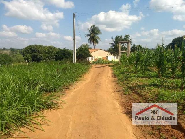 Ótima propriedade em Feira Nova, com 4 hectares - Foto 3