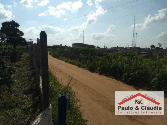 Ótima propriedade em Feira Nova, com 4 hectares - Foto 2