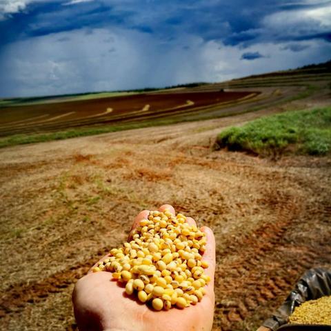 Arrendamento de fazenda