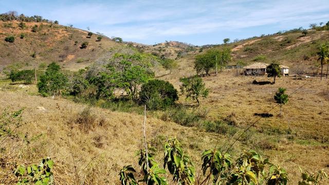 Fazenda 42 Alqueires em Campanário/MG, região de Governador Valadares/MG