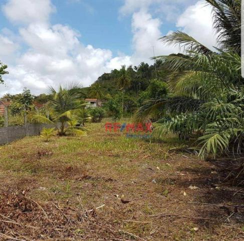 Terreno à venda, 800 m² por r$ 130.000 - olivença - ilhéus/ba - Foto 3