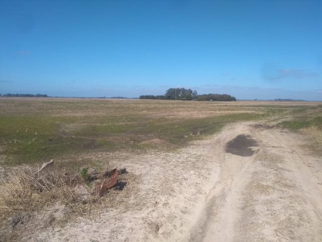 Área de terra 154 ha em Mostardas-Rs - Foto 4