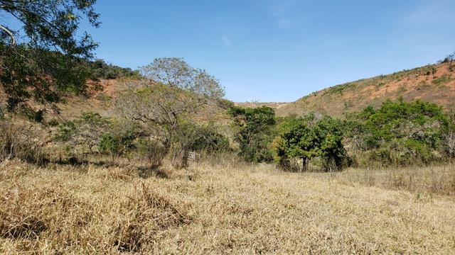 Fazenda 42 Alqueires em Campanário/MG, região de Governador Valadares/MG - Foto 15