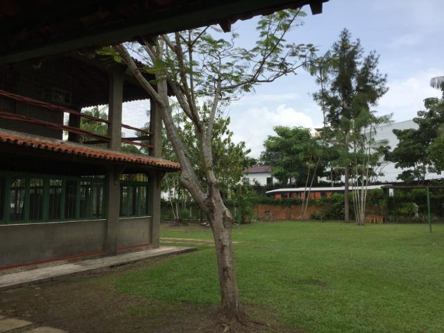 Sítio para eventos - Foto 6