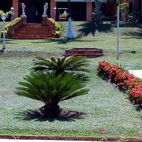 Casa Sitio Rancho Guape Capitolio - Foto 13
