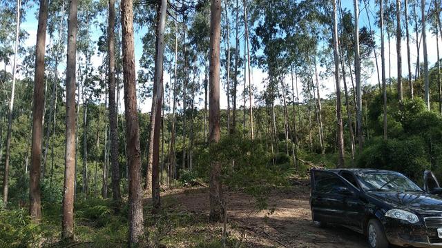 Fazenda Terreno Rural Sitio Chácara Gado - Foto 13