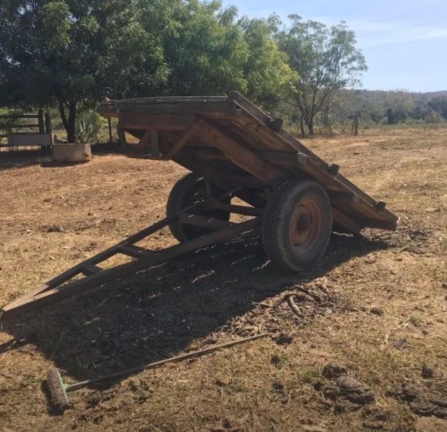 Carreta basculante - Foto 4