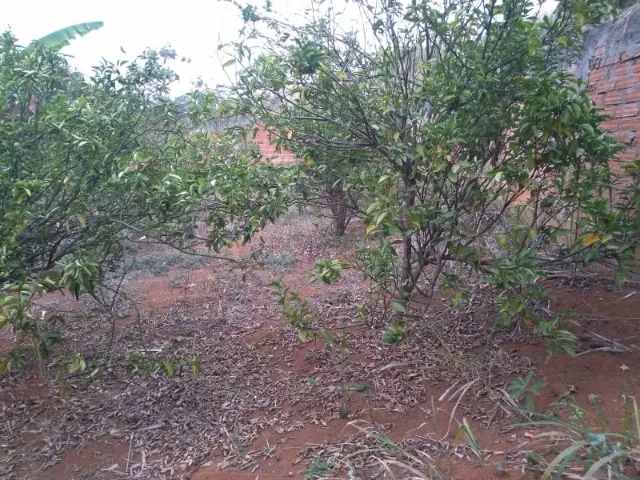 Sua oportunidade chegou: Terreno e chácara em área rural, pertinho do Centro.