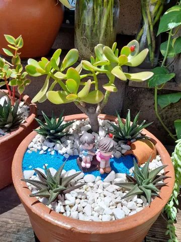Minis jardins de cactos e suculentas  - Foto 4