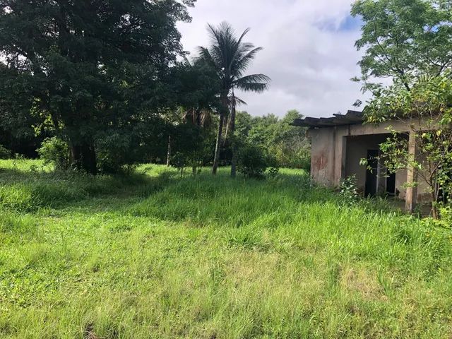 Oportunidade para você empreendedor  !!!!! - Foto 3