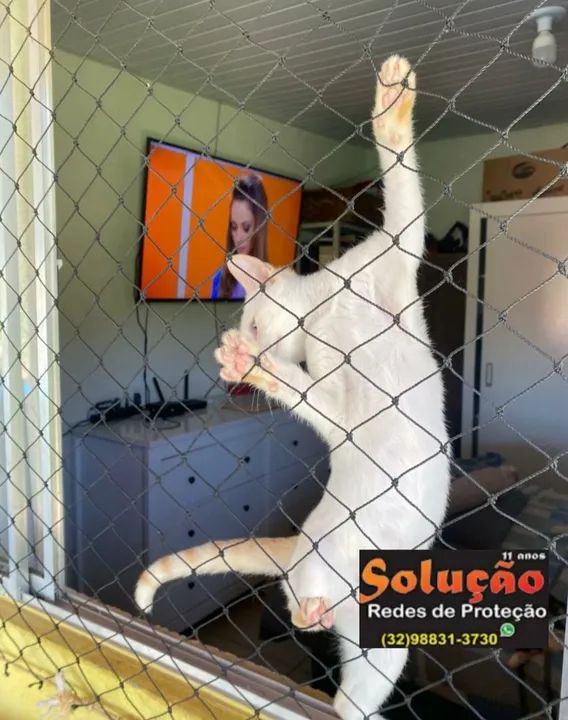 Telas de proteção para gatos em Juiz de Fora! 