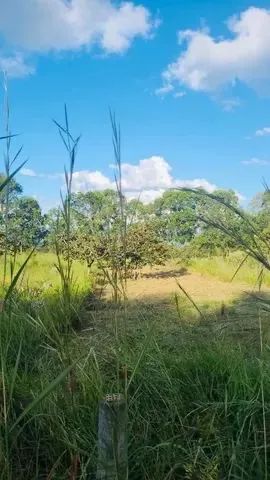 foto - Águas Lindas de Goiás - Parque da Barragem Setor 08