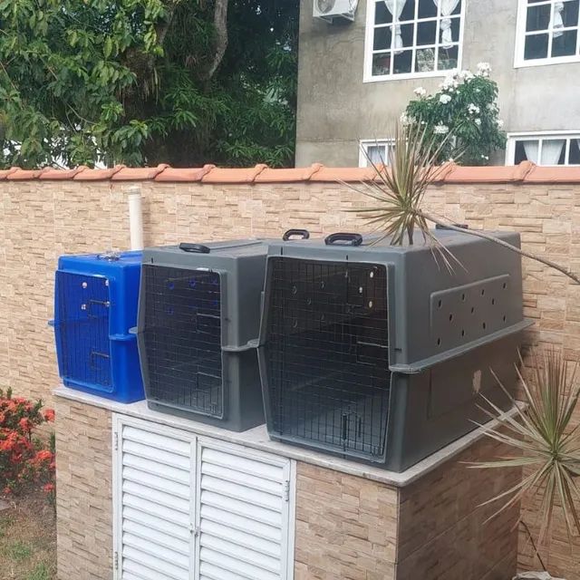 Locação de Caixa de Transporte para Cachorros (viagem Rodoviária) - Foto 3