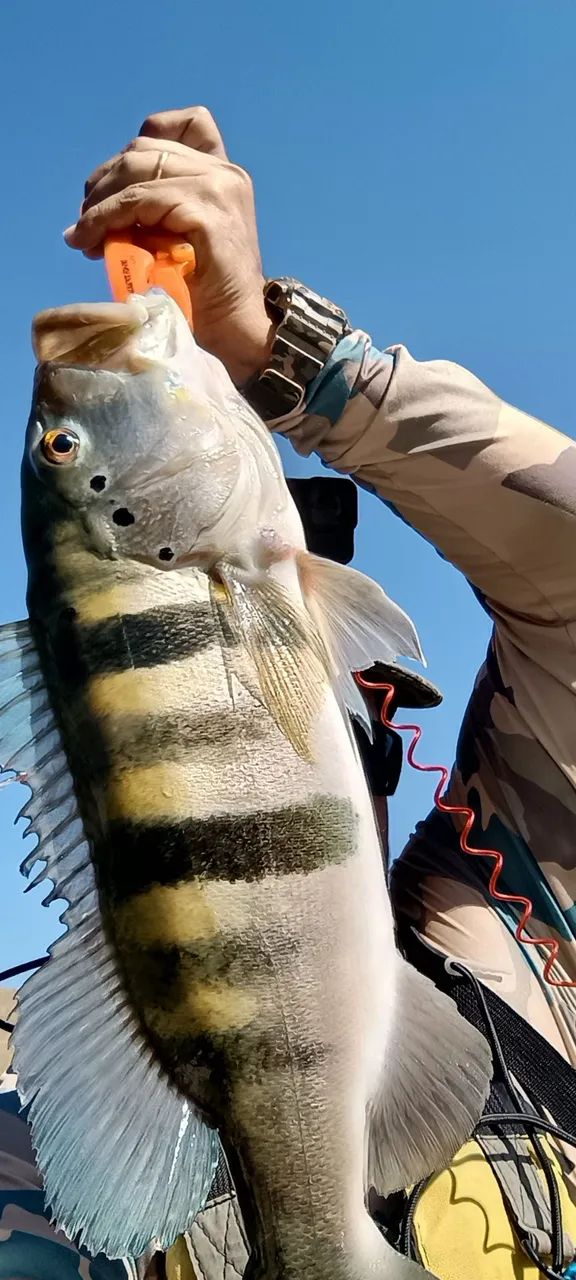 Pesca  - Foto 2