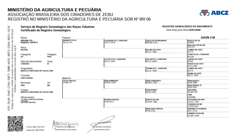 Touro Nelore Pintado - Foto 2