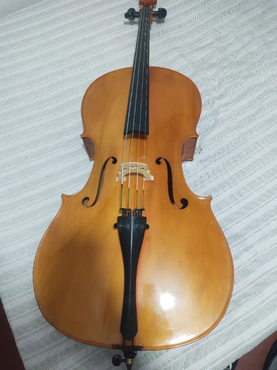 Violoncelo