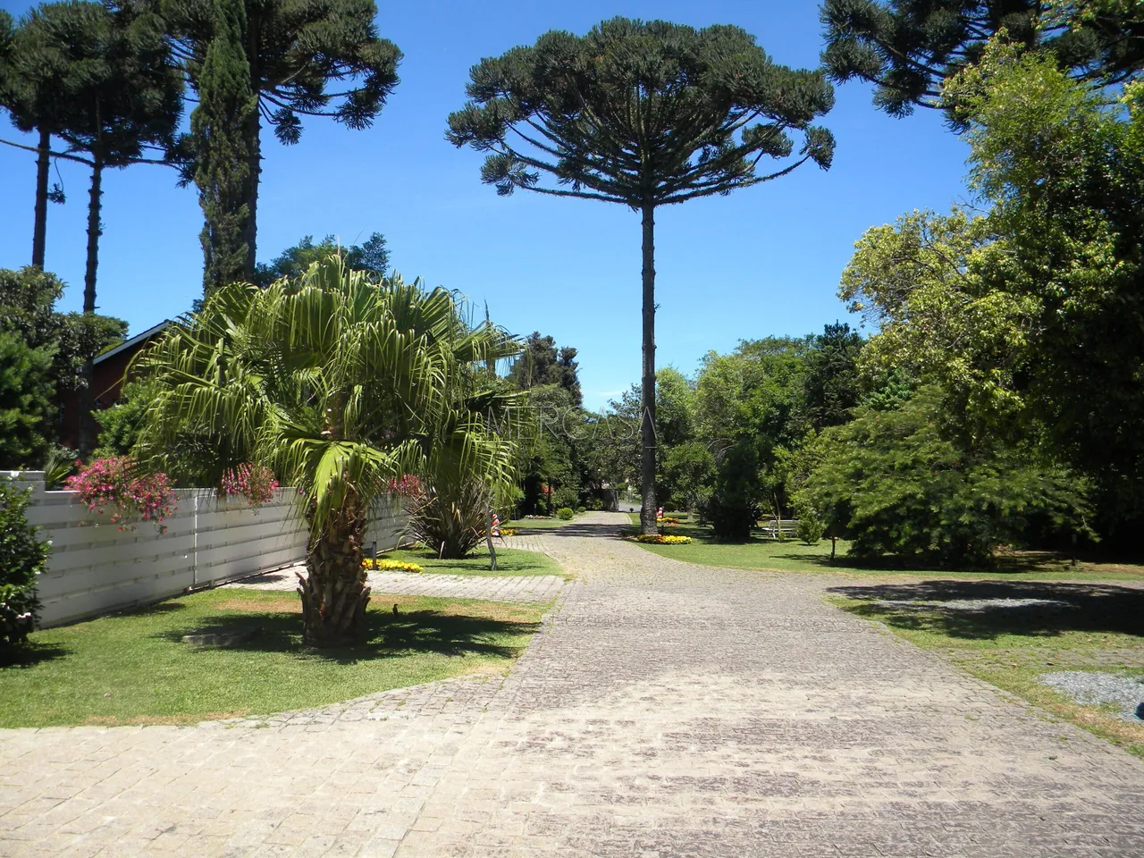CASA DE SITIO EM CONDOMINIO FECHADO, UM LUGAR ESPECIAL JUNTO A NATUREZA, ENSOLARADA E COM