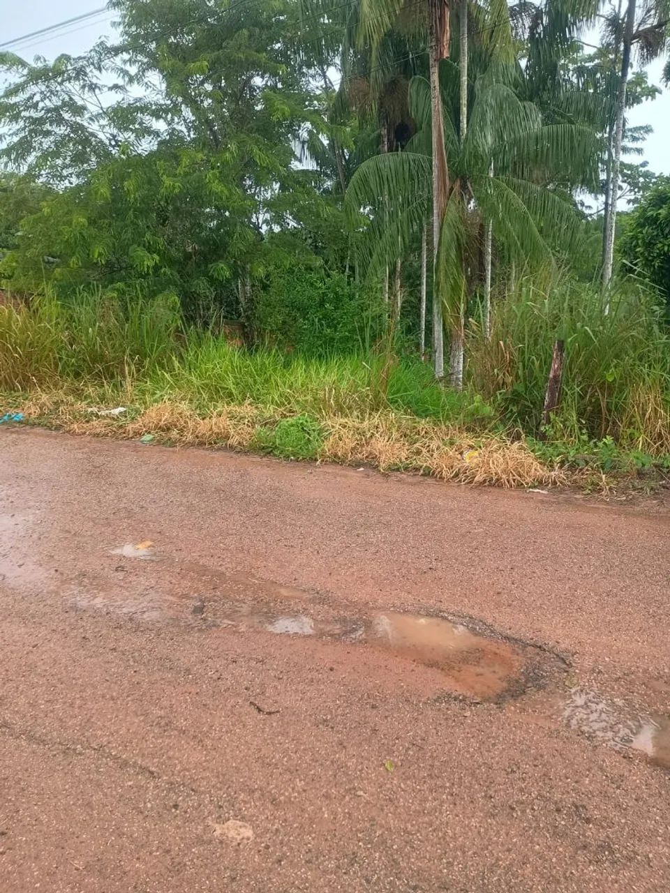 Vende - se terreno - Foto 2