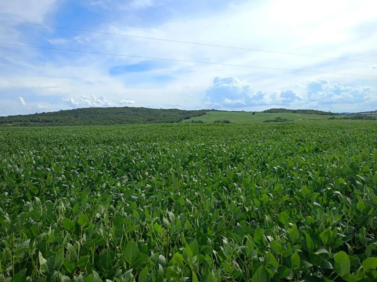 Ótima fazenda em Edéia  - Foto 5