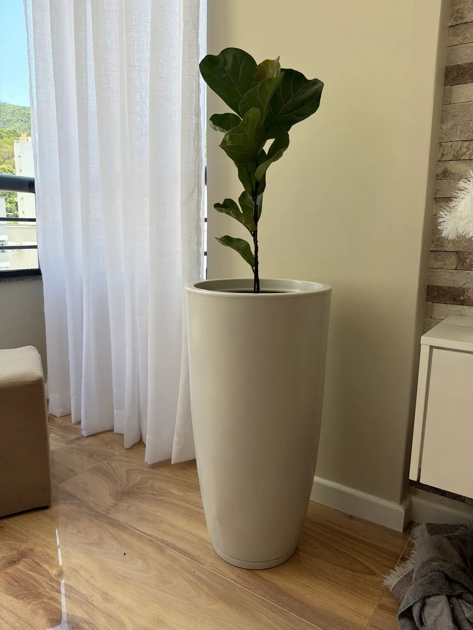 Vaso de planta - Foto 2