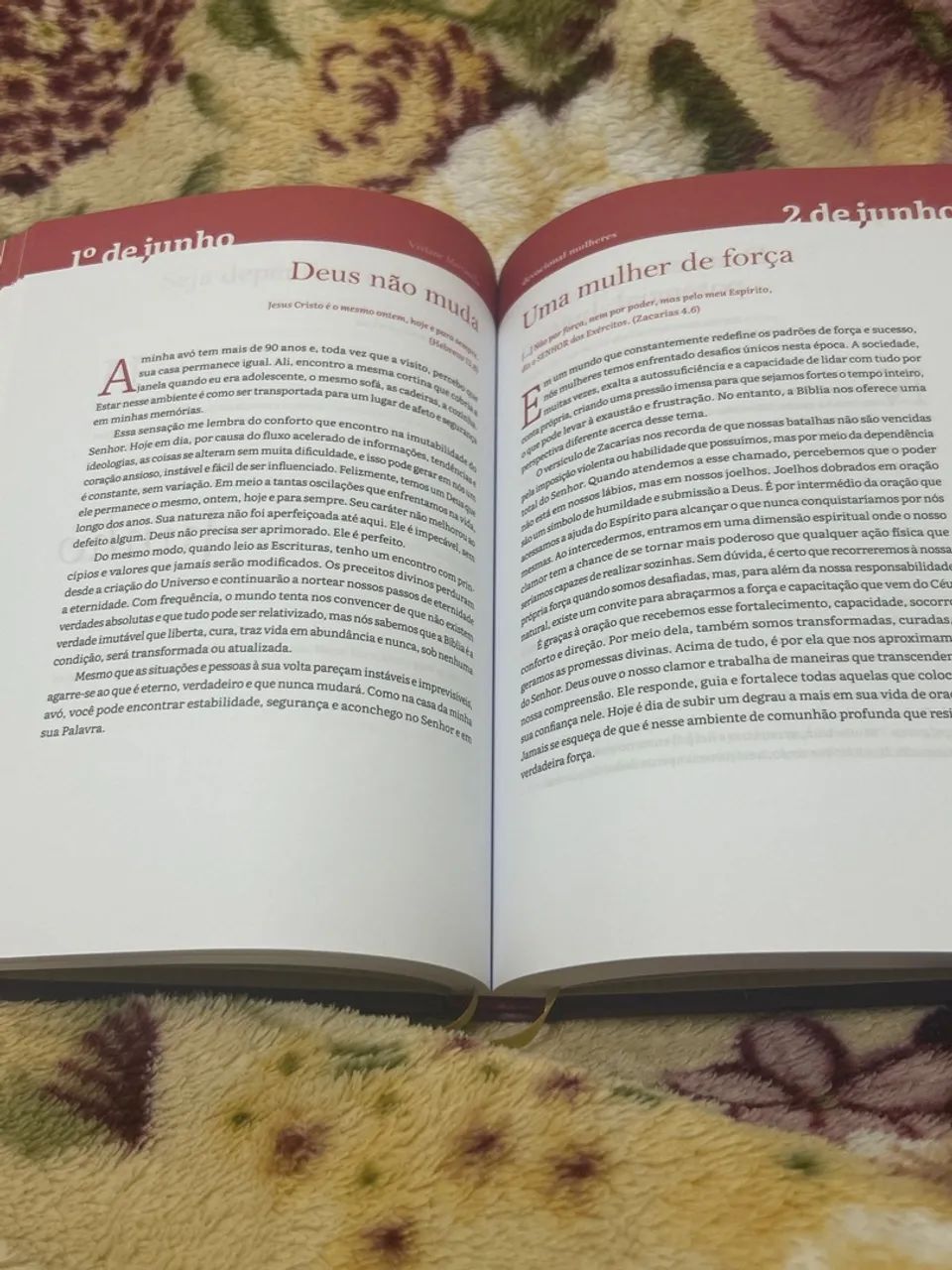 Devocional Mulheres Viviane Martinello - Foto 3