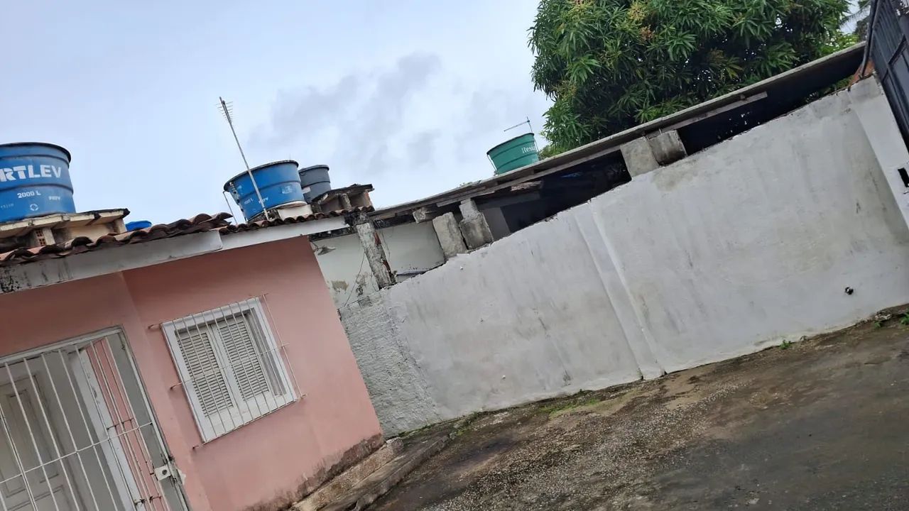 Foto - Paulista - Janga