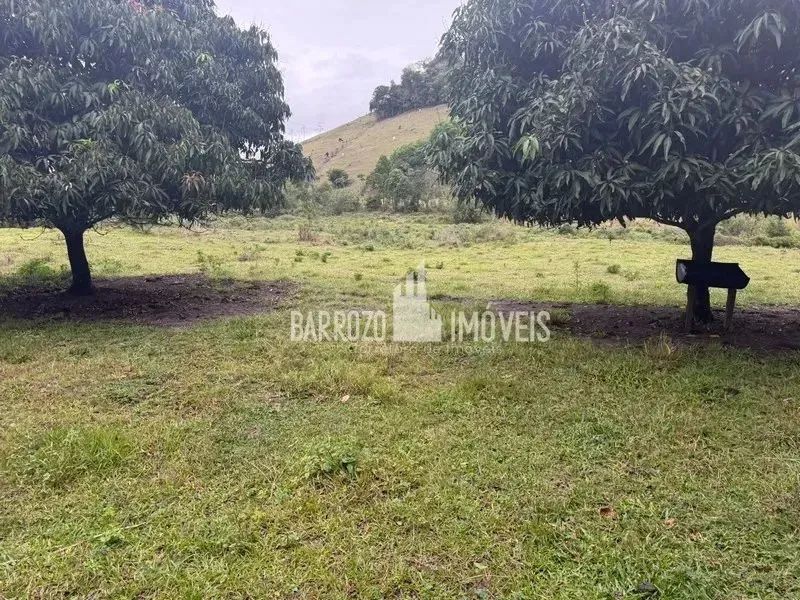 Barrozo Imóveis - Sítio a venda com 2.02 alq (9.8 ha) com córrego, nascente, pasto. - Foto 8
