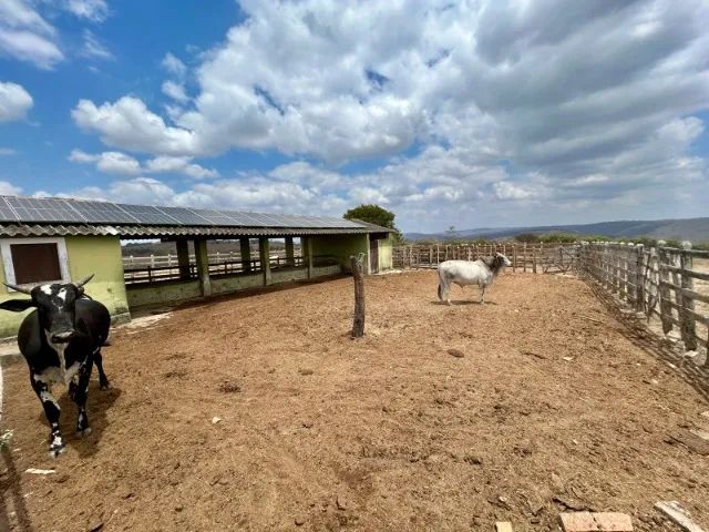 Fazenda em Bezerros/PE à Venda (FA0130-PV) - Foto 5