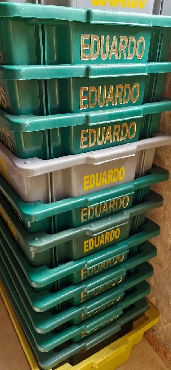 Conjunto de Caixas Frigoríficas cores variadas - Foto 3