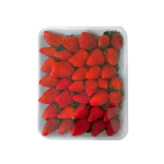 Morangos mandirituba 25 o kg