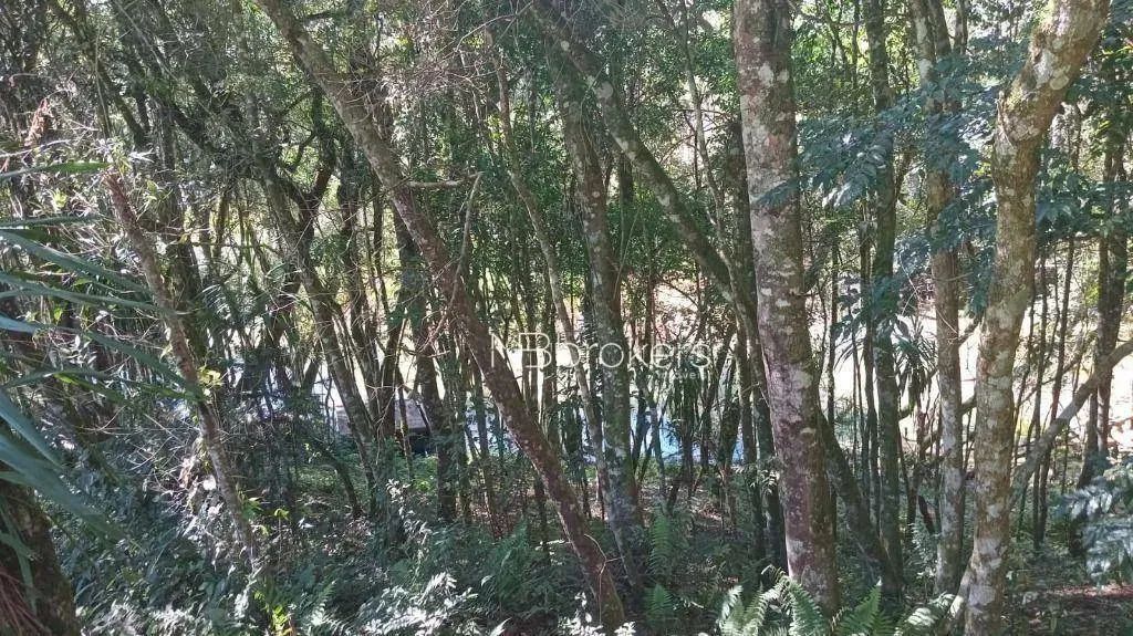 Chácara /Roça Velha SJP - Foto 3