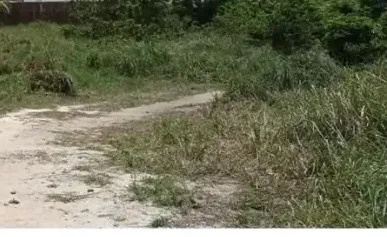Vendo 2 lotes em Salgado/SE