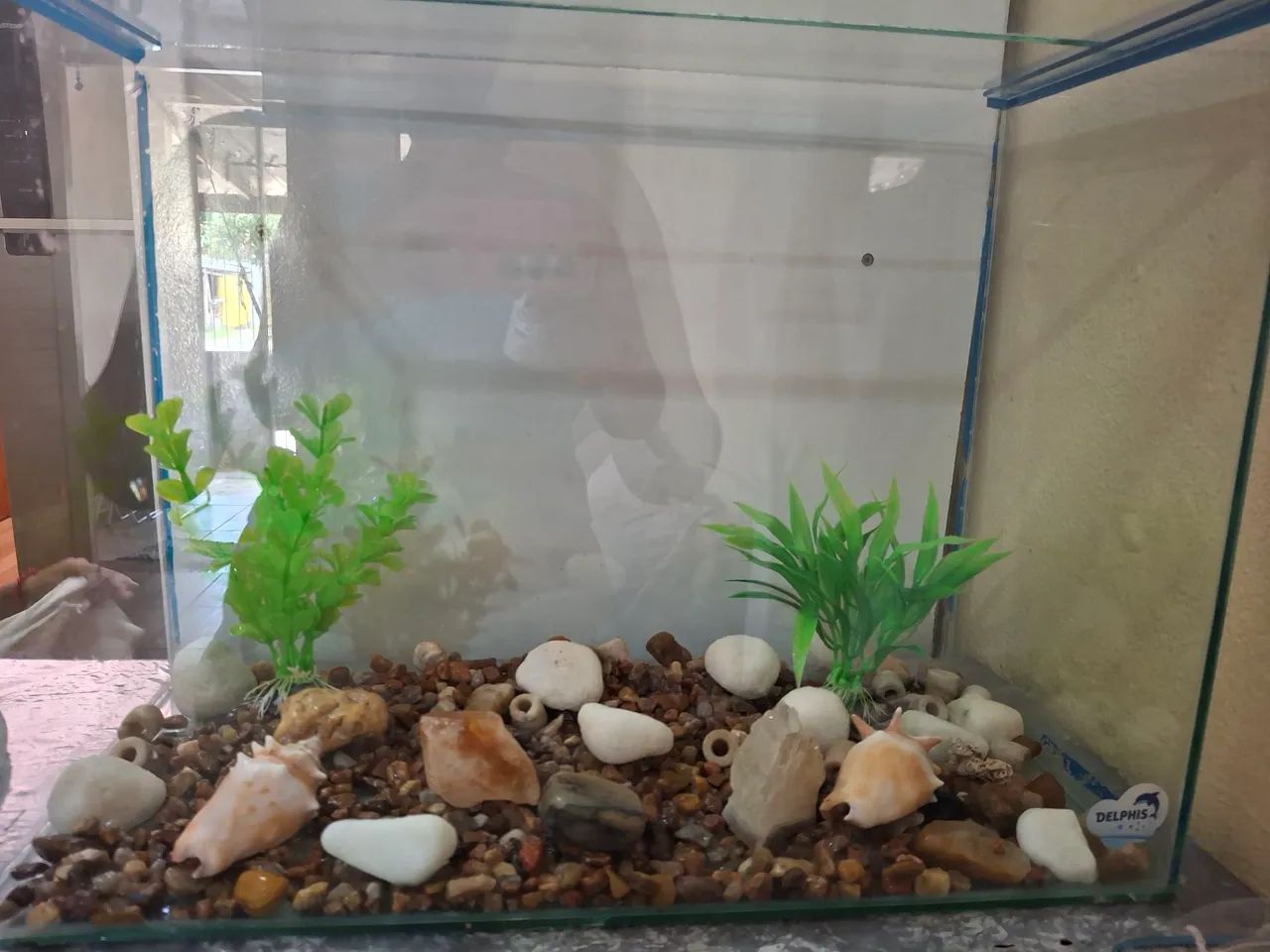 Aquário novo 