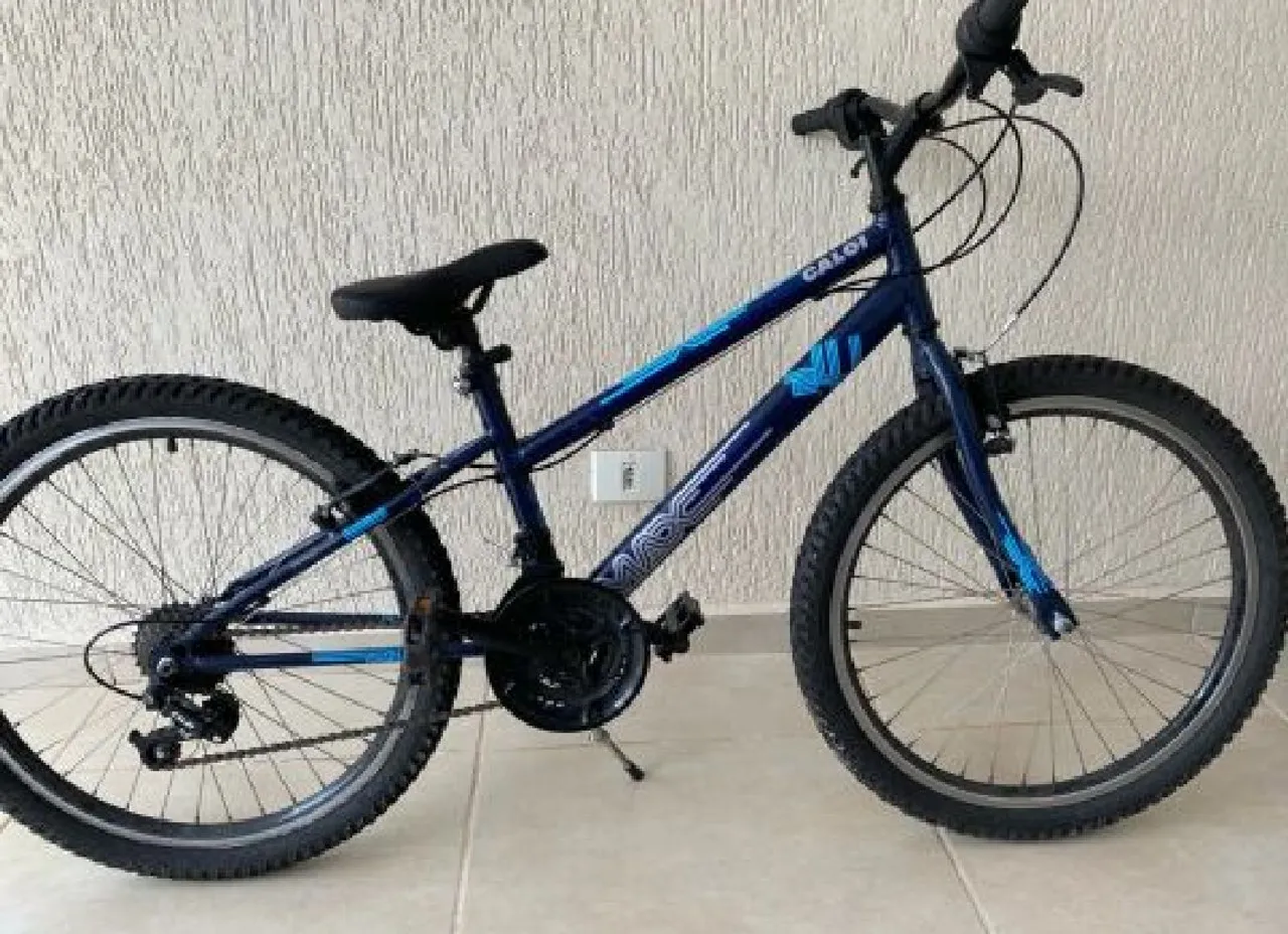 Bicicleta Infantil Aro 24 Caloi Max