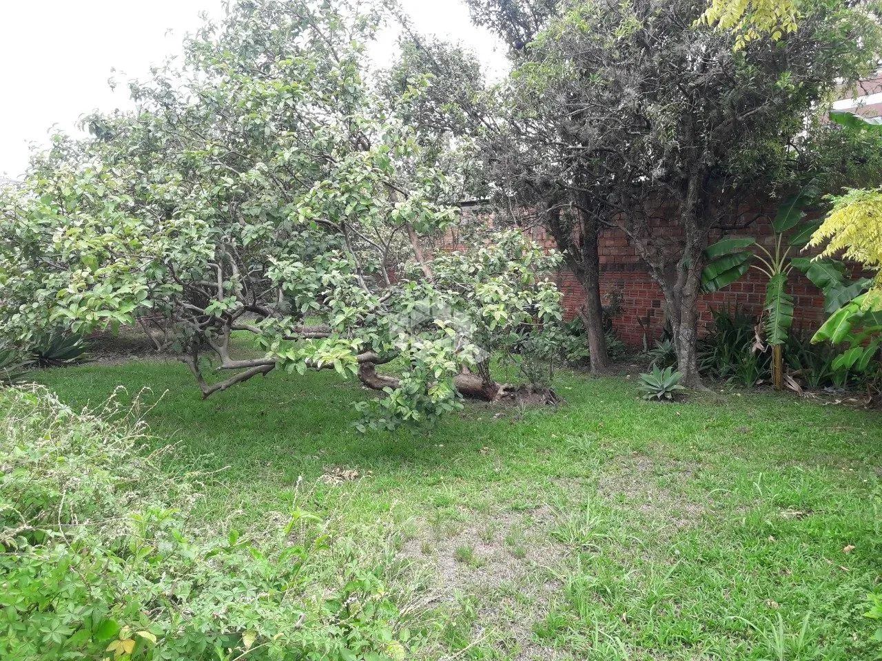 Terreno 11 x 125 à venda no miolo da Tristeza Porto Alegre - Foto 9