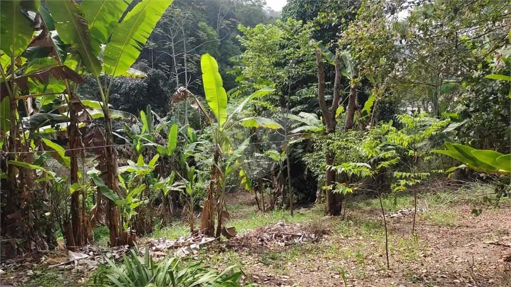 Terreno à venda em Badu - RJ - Foto 3