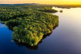 BIOMA AMAZÔNICO: Fazenda à venda de 8 mil hectares e documentação 100%