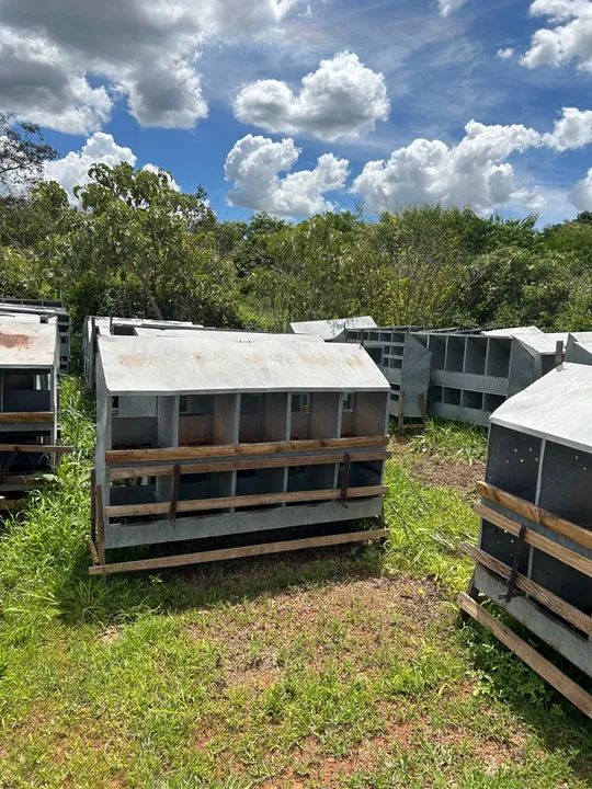 Ninho para Galinhas - 10 Divisórias - Foto 2