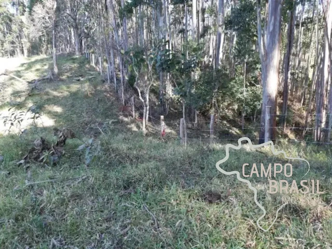 ÁREA RURAL 24 HECTARES COM CACHOEIRA EM MONTEIRO LOBATO ! - Foto 5