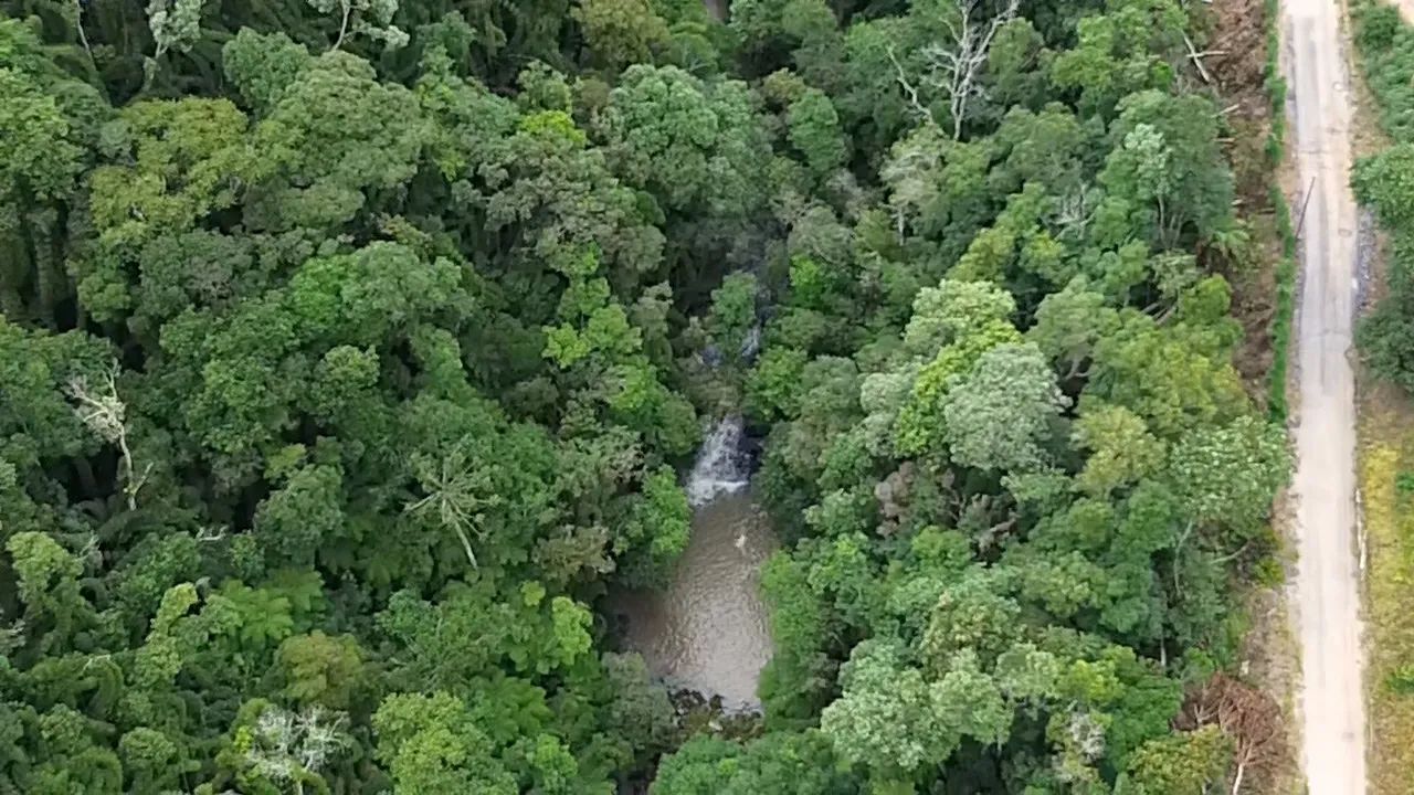 4.3 hectares em Alfredo Wagner com cachoeira - Foto 3
